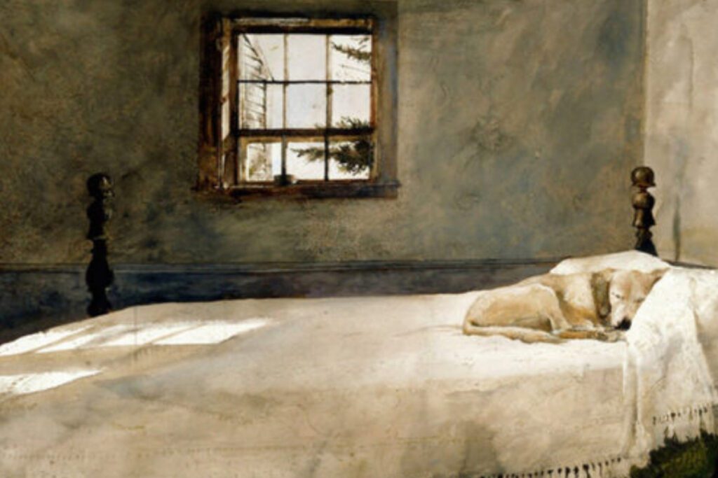 The Struggle to Sleep Well