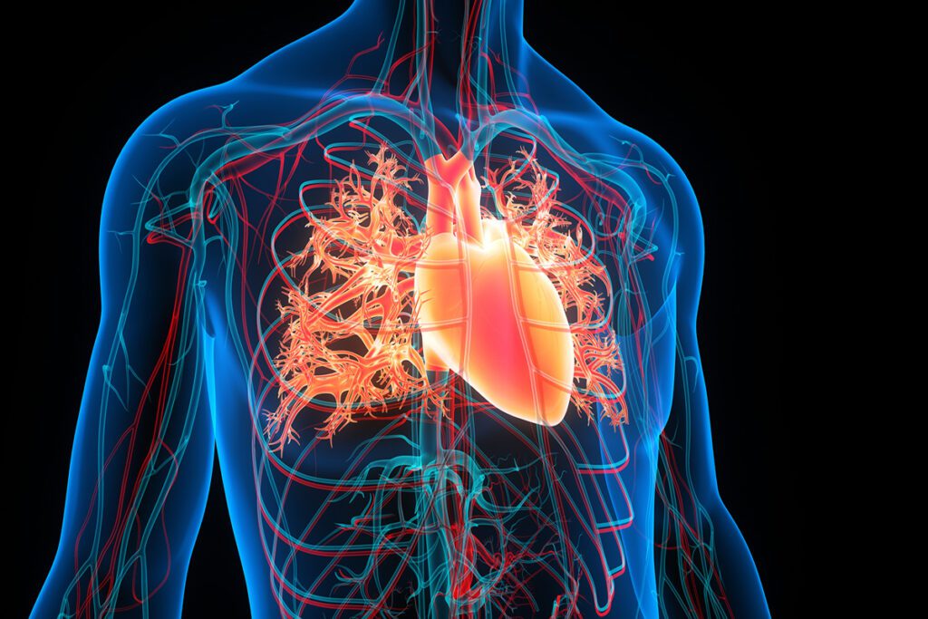 Cannabis Can Reduce Risk of Heart Attacks