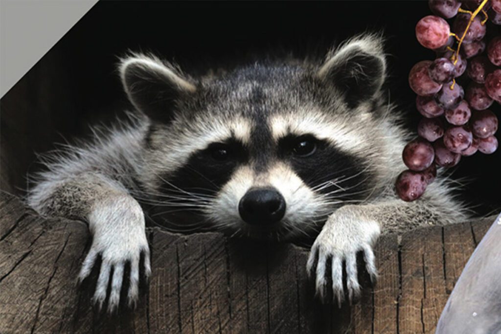 No Surprise Here. We All Like to Party