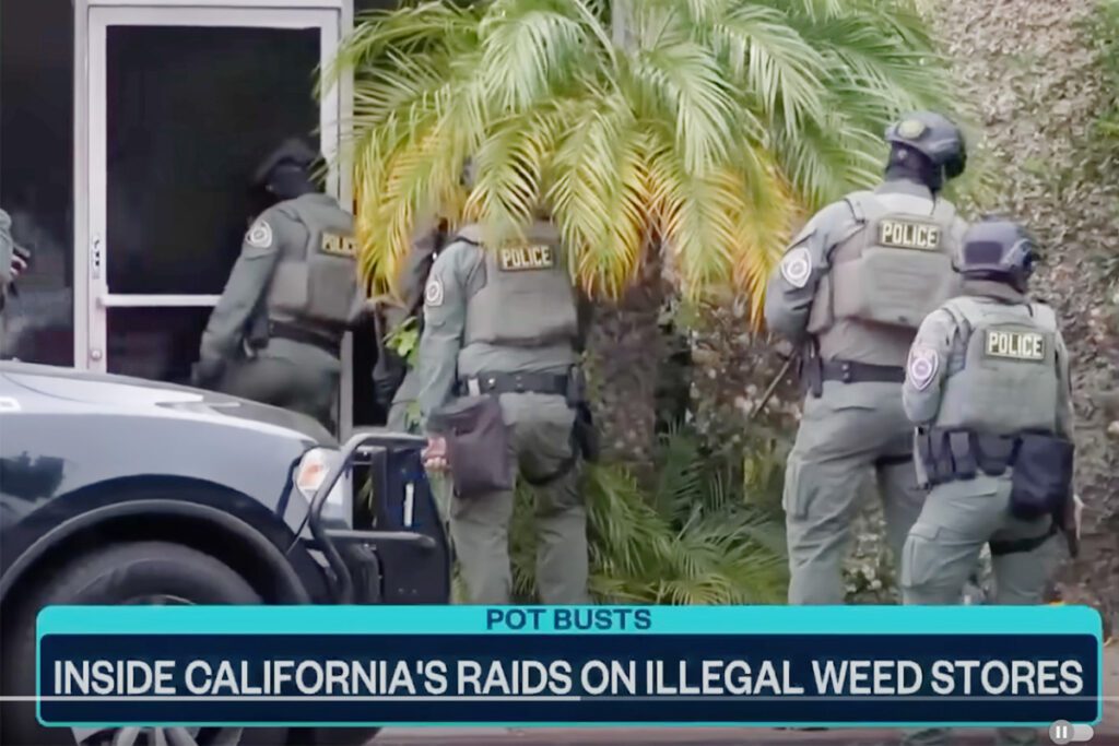 Stupid "War on Drugs" Rages On