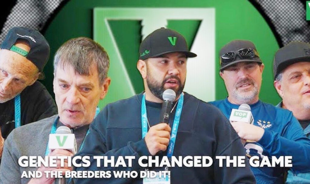 Cannabis Breeders In Full Blown Panic