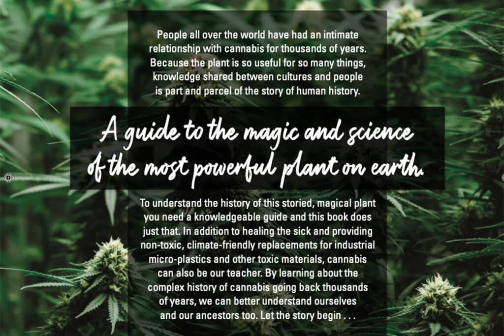 Is the New York Times Making Cannabis Problem Worse?